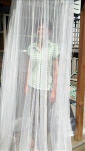 Have mosquito net, will travel!  These things are pretty AND functional!: by carriel, Views[269]