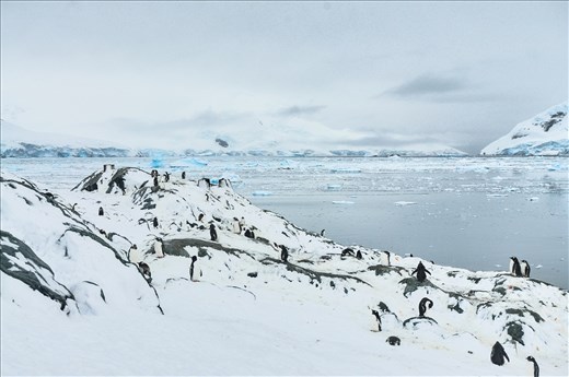 A Silent World. Taken in Antarctica this year.