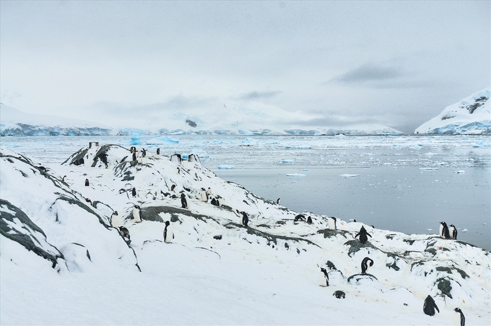 A Silent World. Taken in Antarctica this year.