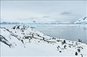 A Silent World. Taken in Antarctica this year.: by carriema, Views[265]