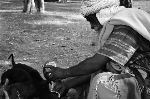 An Indian Sadhu (holy man) happily shares rice and milk with a litter of stray puppies by the Ganges River.
Sadhu's lead a quiet, wandering life, choosing to live away from mainstream society, dwelling in caves, forests, temples and ashrams. They form a unique 'brotherhood' with other Sadhu's, and are well respected throughout India.