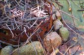 Worn and weather-damaged planks surround a rusting fire ring: by caseymae, Views[361]