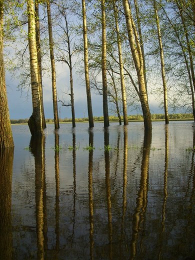 This photo was taking in the small village of Zusdal, 6 hours from Moscow, in May 2012. It was a cold sunset and the path was overflowed