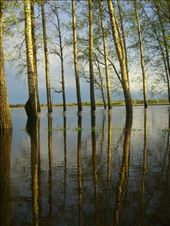 This photo was taking in the small village of Zusdal, 6 hours from Moscow, in May 2012. It was a cold sunset and the path was overflowed: by catalinam, Views[348]
