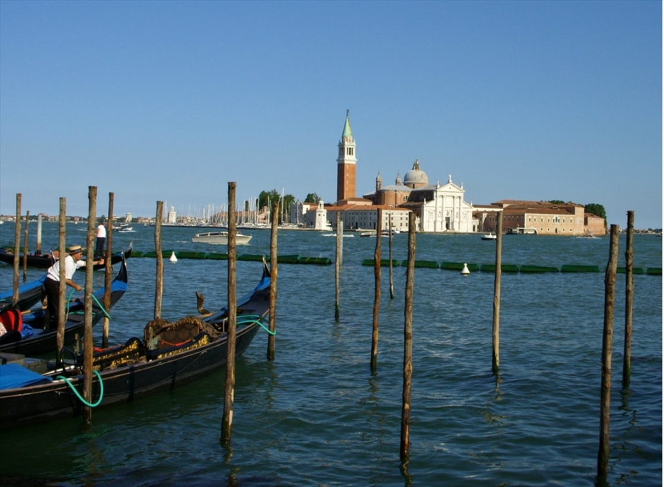 A view of the Piazza San Marco in Venezia