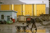 A man pushes a cart in the rain past one of Kabul’s many wedding halls. 

The wedding halls are the largest buildings in the city, typically gaudy in design and lit up with colourful neon lights at night. They are a stark contrast to the general poverty of the surrounds and the grey of the dust-coated city. 
: by cathjam, Views[1270]
