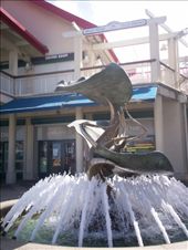 by cayman_adventurer, Views[220]