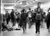 Buskers and beggars sit every few metres in Sydney's central tunnel: by cbee, Views[580]
