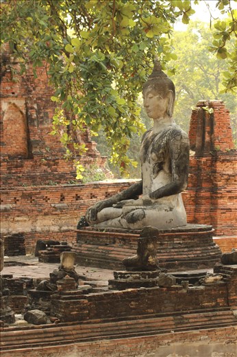 Ruins in Ayutthaya, despite being touristy, there's an abundance of beauty