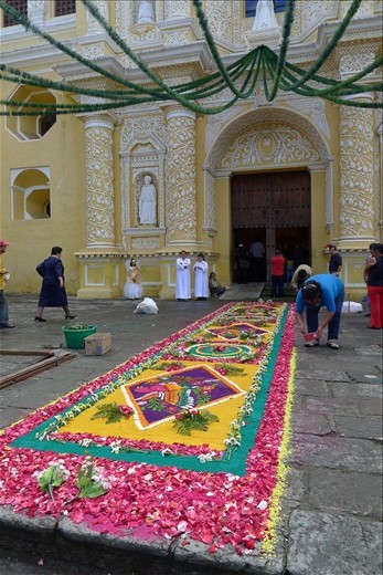 Floral Carpet at La Merced for Corpus Christi
