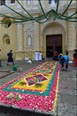 Floral Carpet at La Merced for Corpus Christi: by ccandj6monthsaway, Views[384]