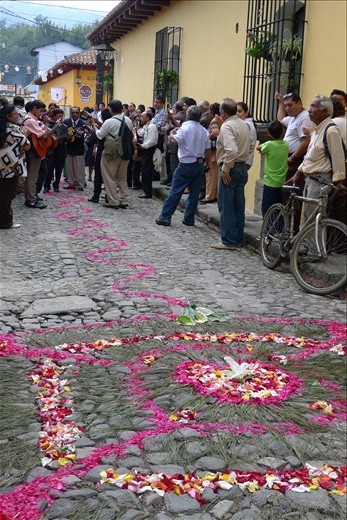 Floral carpet in front our hotel
