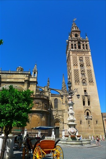 Cathedral in Seville