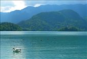 So beautiful!: by ccandj6monthsaway, Views[322]
