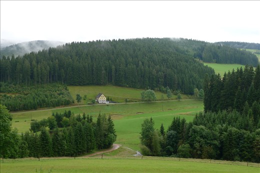 Black Forest