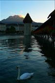 Lucerne's famous covered bridge at sunset: by ccandj6monthsaway, Views[656]