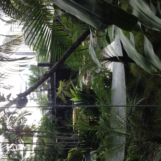 View from the breakfast room