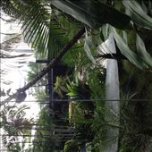 View from the breakfast room: by ccbc, Views[190]