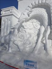 by cd10_10, Views[246]