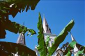 The infamous St. Louis Cathedral, in the heart of the French Qtr- Jackson Square: by cdro, Views[289]