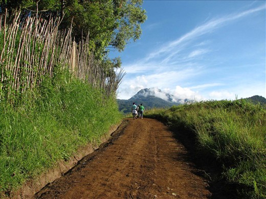 Entryway to the Mighty Mount Apo.  A convivial entrance for braved heart.