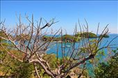 by cebujohn, Views[180]