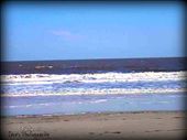 Jekyll Island, Georgia, USA: by cecesphotos2012, Views[174]
