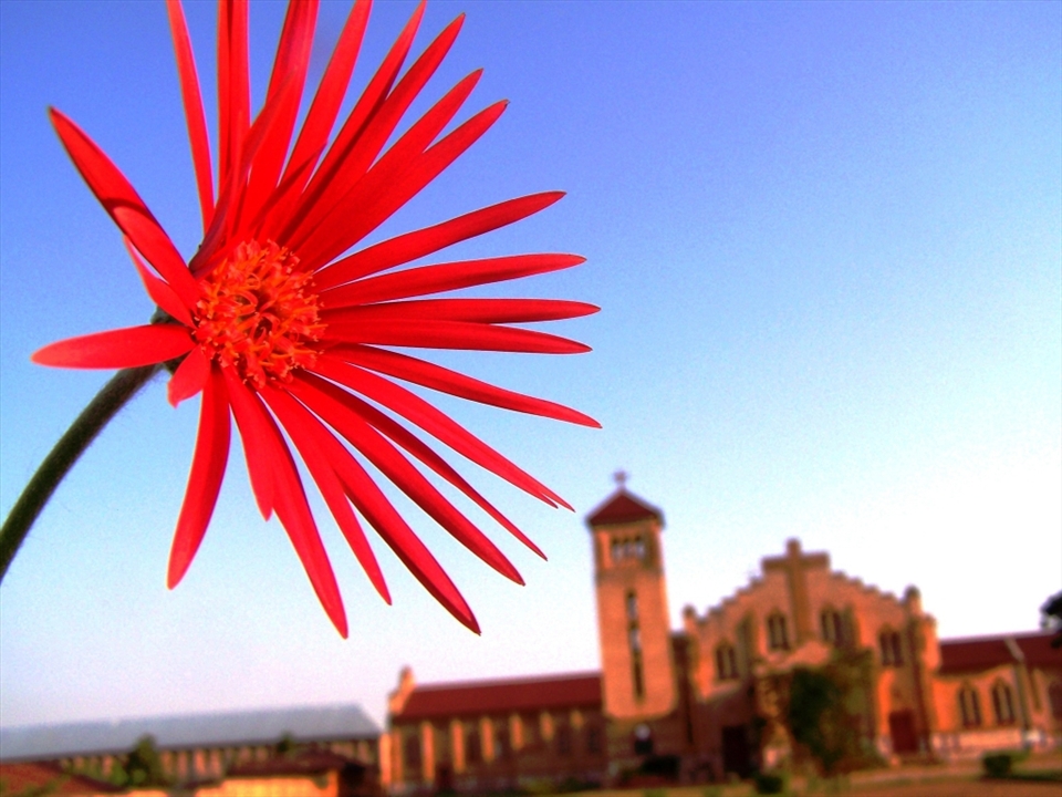 The devotion of the Rwandan population can leave a person astonished. When a country experiences so much death and grieving, it is hard to imagine that they would all be so faithful to their religions. But it is true in this country, no other name is praised more than the name of God. They come by the hundreds and they all pack into the smallest of churches to sing praises and worship their God. It was truly incredible to see that people who suffer still find that they can believe in something greater than themselves.