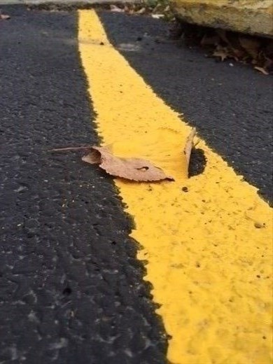 I leaf that I found painted over when they re-striped the parking lot this Nov. 