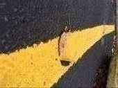 I leaf that I found painted over when they re-striped the parking lot this Nov. : by ceconover, Views[264]