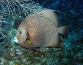 by cedarkehoe, Views[267]