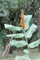 by celinskiadventures, Views[241]