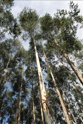 by celinskiadventures, Views[275]