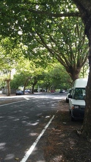 Romantic Franklin Road. I just stumbled upon it.