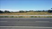 They have a lot more cows than I thought they would given their reputation for sheep.: by cfitchey, Views[470]