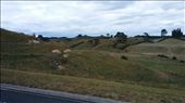 Oh the hills... so picturesque.: by cfitchey, Views[444]