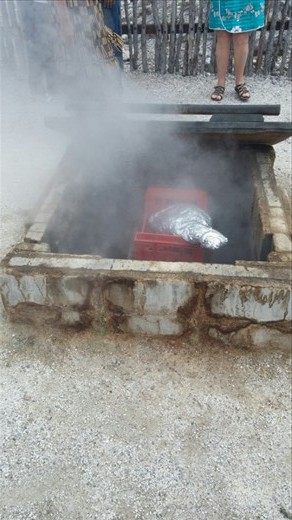 Cooking a hot in a geothermal steam oven.