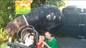 Marcia, Mick and Maggie in front of the kiwi at Rainbow Springs: by cfitchey, Views[1036]