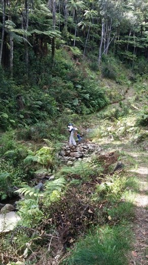 Intrepid Marcia crossing the rock bridge with her little ones