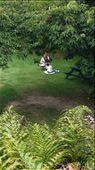 Marcia and Maggie: by cfitchey, Views[432]