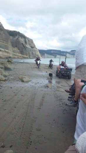 Family cruising down the beach with dog