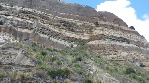 Notice the fault line from a past earthquake