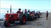 We rode with this type of tractor trailer down the beach to Cape Kidnappers: by cfitchey, Views[320]