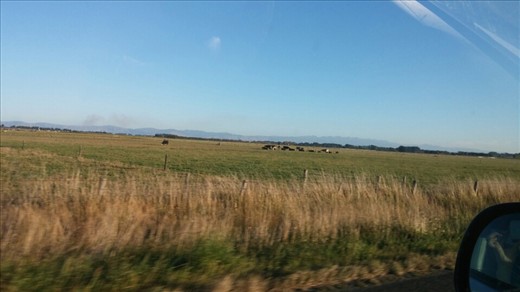 Flat plains mountains in distance