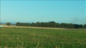 Hedge rows: by cfitchey, Views[289]