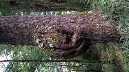 What a ghoulish bump!