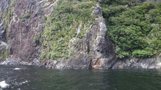 Fjord bank - we got closer than this at one point