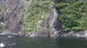 Fjord bank - we got closer than this at one point: by cfitchey, Views[333]