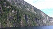 Super tall rock cliffs line the fjord. It's amazing. Surprising how green they are too.: by cfitchey, Views[402]