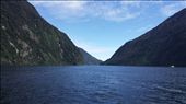 View of Milford Sound: by cfitchey, Views[345]